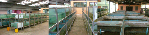 qurantine